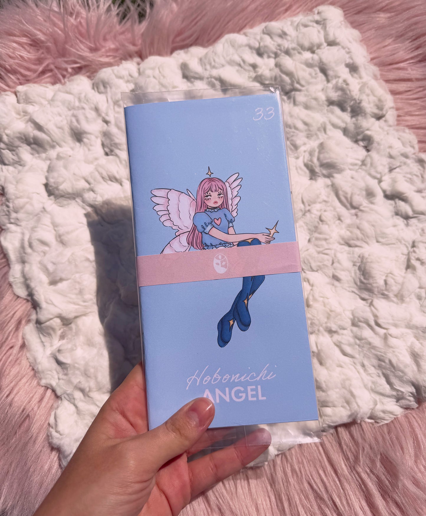 Hobonichi Aangel 33 and Devil 66